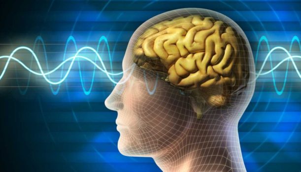 Votre cerveau ne connait pas la négation