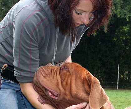 Le Reiki et les animaux